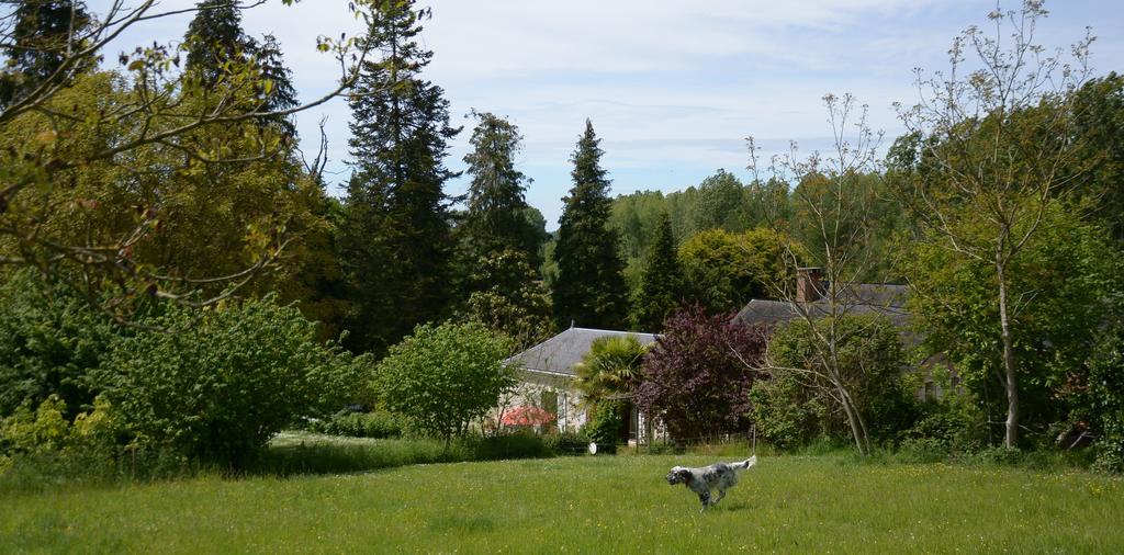 La Barillerie Bed and Breakfast La Flèche Buitenkant foto